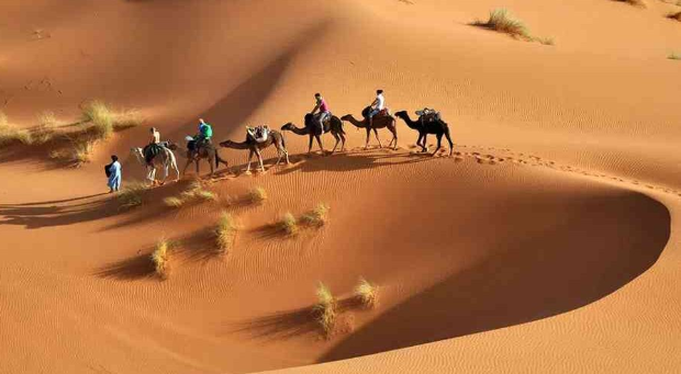 Morocco Desert Tour: A Unique Journey into the Heart of the Sahara
